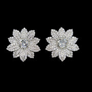 Σκουλαρίκια Valuxy 