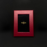 Βραχιόλι μοντέλο Globe από επιχρυσωμένο ανοξείδωτο ατσάλι, Lux unisex.